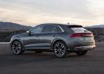Audi SQ8 TDI 2019 года (WW)